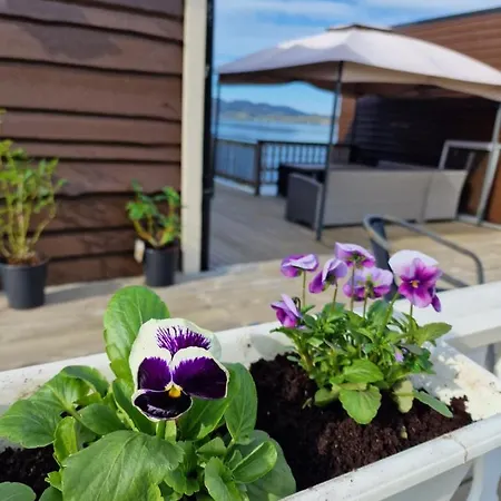 Bogen Hostel بيت شباب