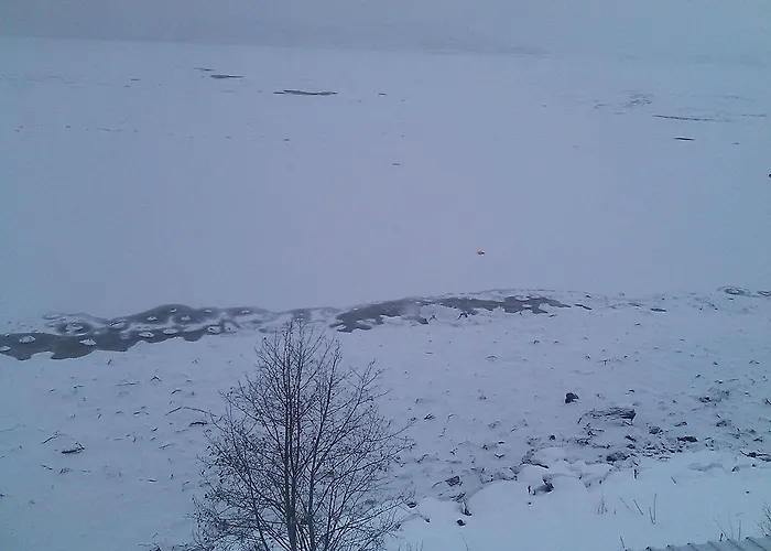 伯根旅馆 旅馆 *