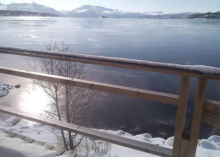 旅馆 伯根旅馆 博根