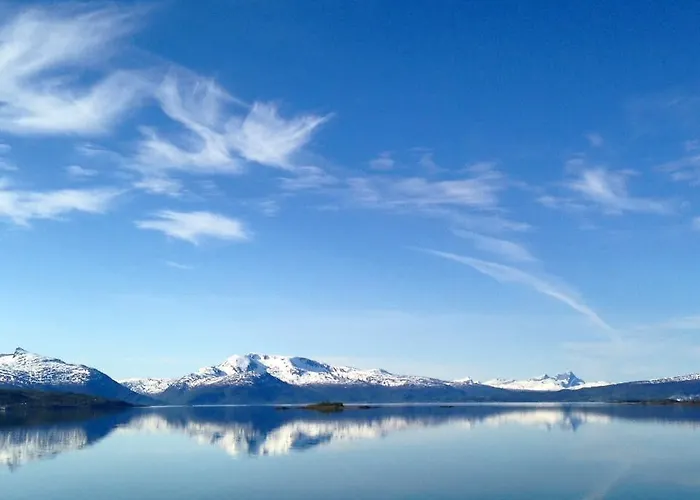 旅馆 伯根旅馆 *