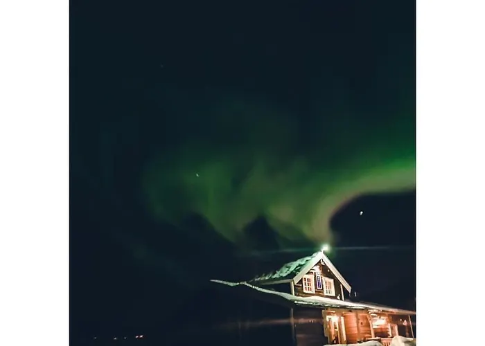 旅馆 伯根旅馆 *